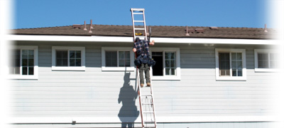 Apartment Maintenance Contractor Apartment Repairman on Ladder